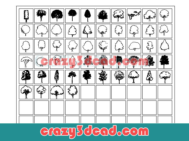 Evergreen Tree CAD Blocks